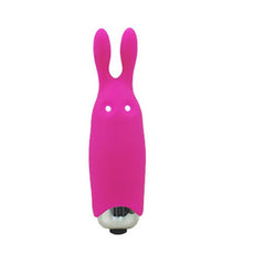 Adrien Lastic Pocket Vibe Pink Bunny